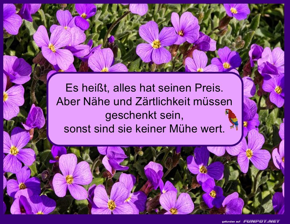 Alles hat seinen Preis Alles hat seinen Preis