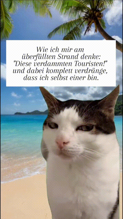 Immer diese Touristen Immer diese Touristen