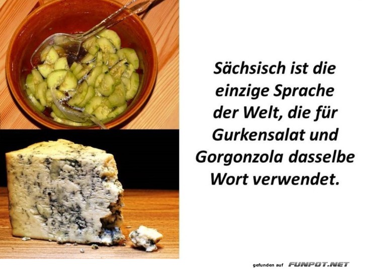 Sächsischer Humor mit Gurken und Gorgonzola Sächsischer Humor mit Gurken und Gorgonzola