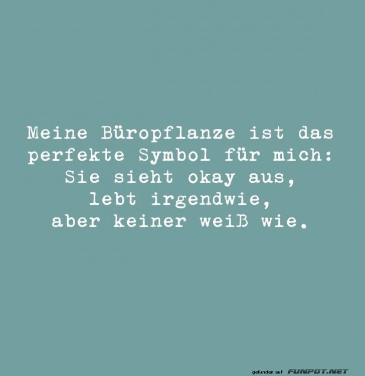 Meine Bropflanze und ich: ein Vergleich