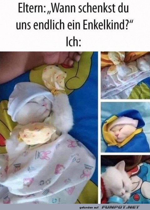 Katzen als 'Enkel' im humorvollen Meme Katzen als 'Enkel' im humorvollen Meme
