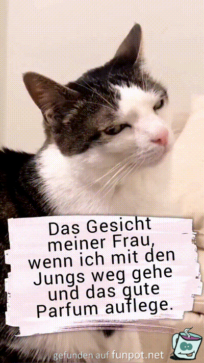 Das Gesicht meiner Frau Das Gesicht meiner Frau