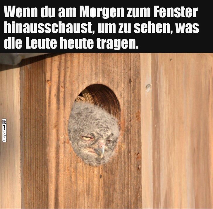 Morgendlicher Blick aus dem Fenster Morgendlicher Blick aus dem Fenster