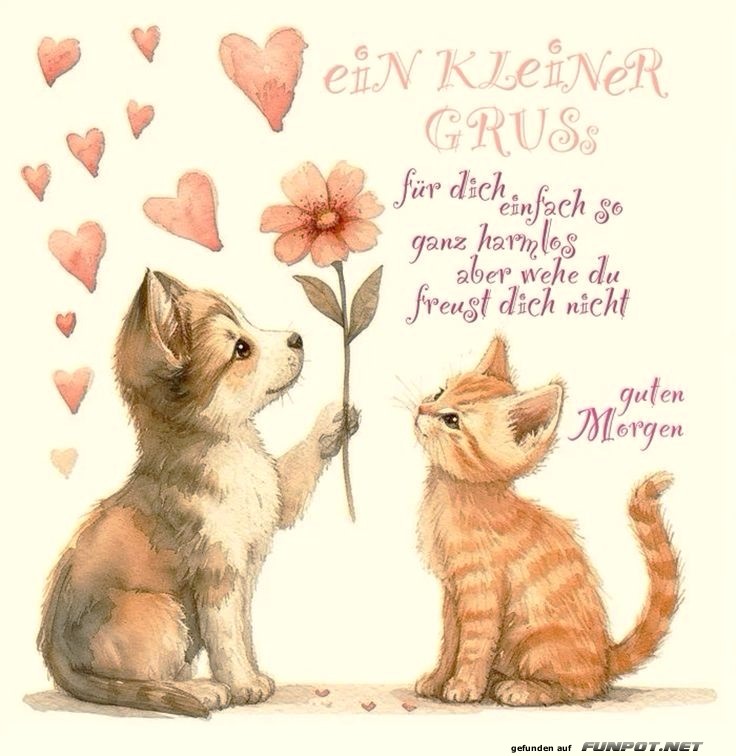 Ein kleiner Gruß Ein kleiner Gruß