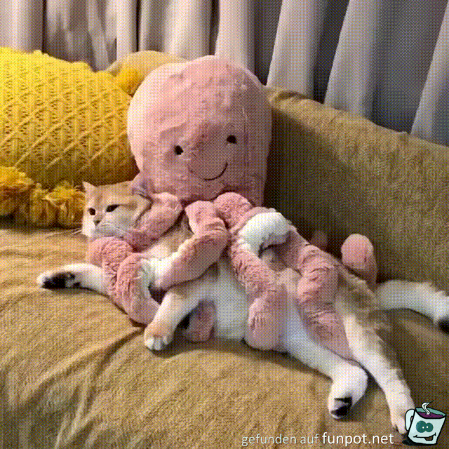 Das gefllt der Katze