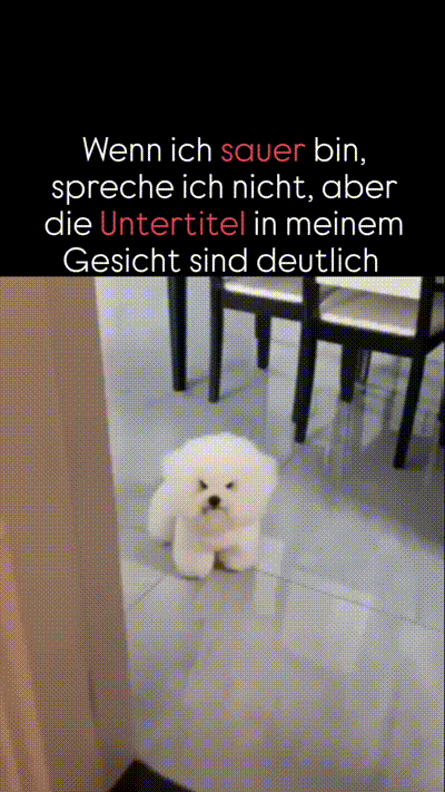 Die Untertitel in meinem Gesicht
