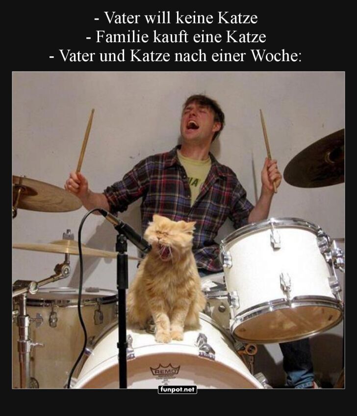 Vater, Katze und Schlagzeug: Ein unerwartetes Duo Vater, Katze und Schlagzeug: Ein unerwartetes Duo