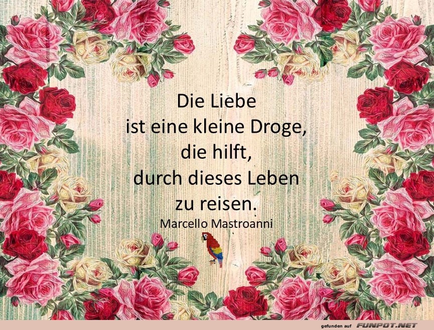 Die Liebe ist eine Droge Die Liebe ist eine Droge