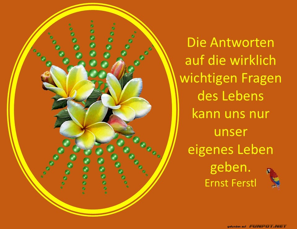 Die Antworten auf die wichtigen Fragen Die Antworten auf die wichtigen Fragen