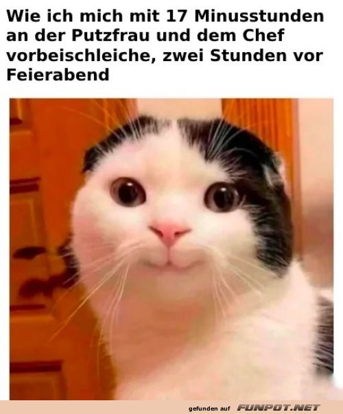 Lustige Katze mit Minusstunden-Meme Lustige Katze mit Minusstunden-Meme