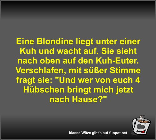 Eine Blondine liegt unter einer Kuh und wacht auf Eine Blondine liegt unter einer Kuh und wacht auf