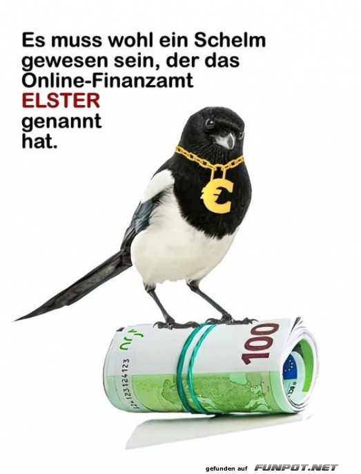 Schelme und das Online-Finanzamt ELSTER Schelme und das Online-Finanzamt ELSTER