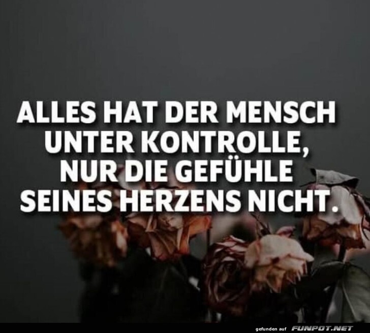 Gefühle sind unkontrollierbar Gefühle sind unkontrollierbar