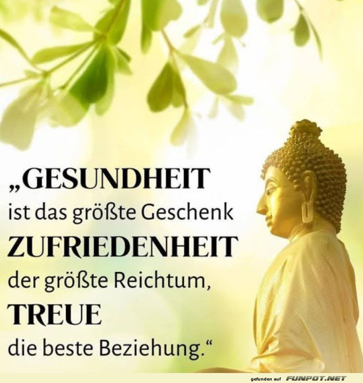 Weisheiten über Gesundheit und Glück Weisheiten über Gesundheit und Glück