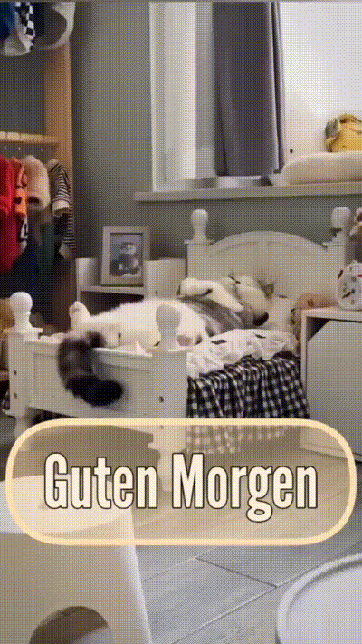 Guten Morgen
