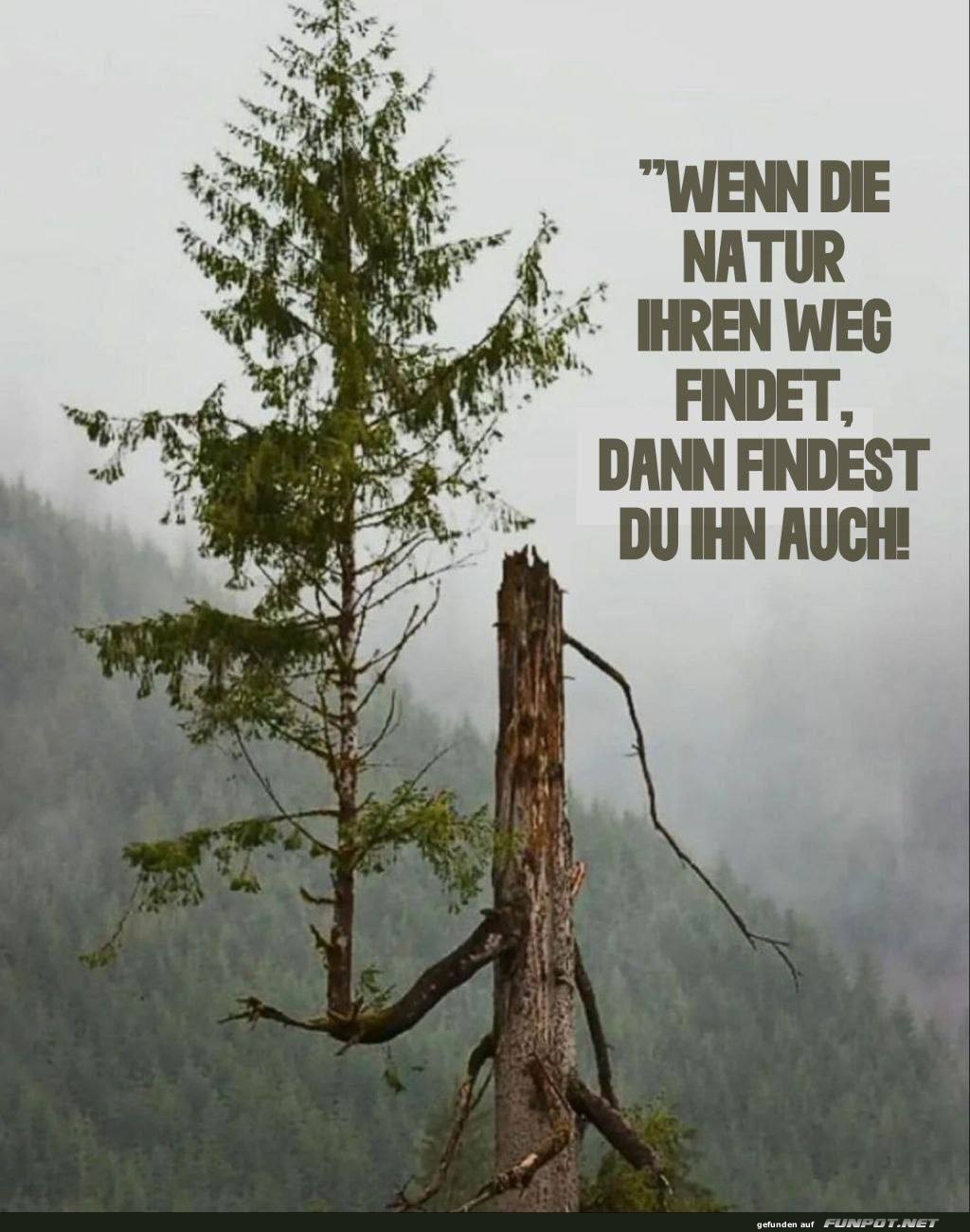 Die Natur zeigt den Weg Die Natur zeigt den Weg