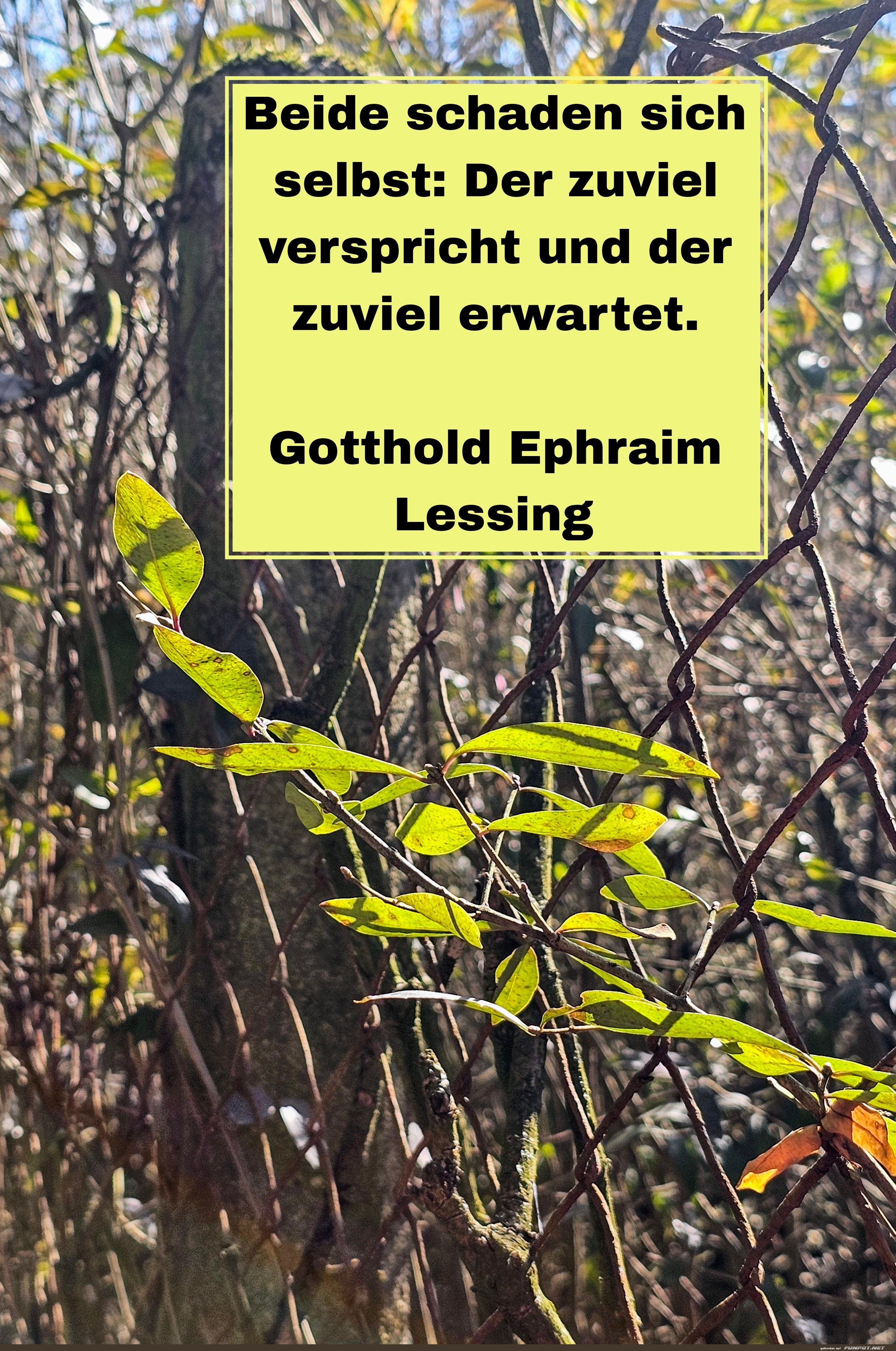 beide schaden sich beide schaden sich