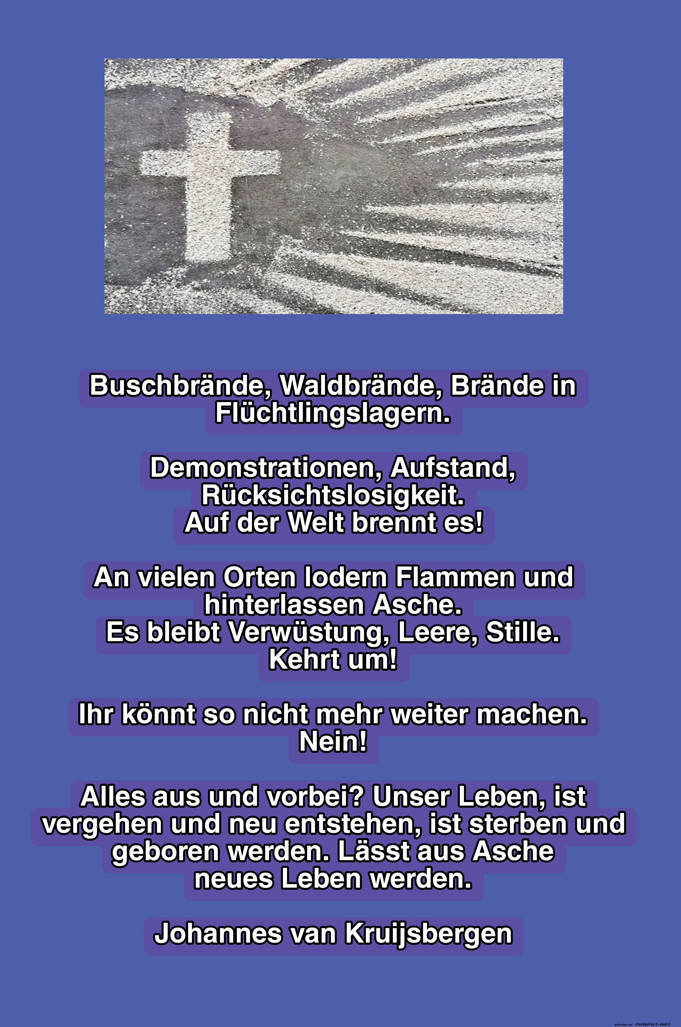 buschbrände buschbrände