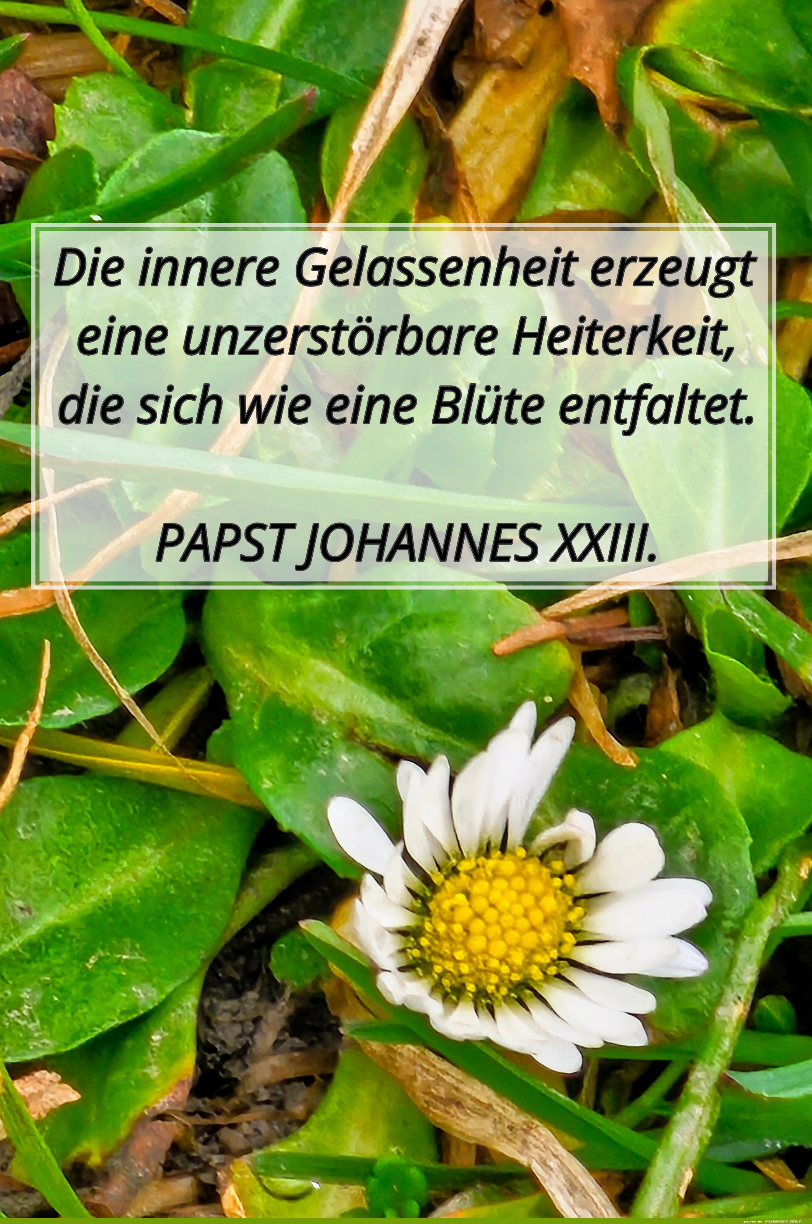 die innere gelassenheit die innere gelassenheit