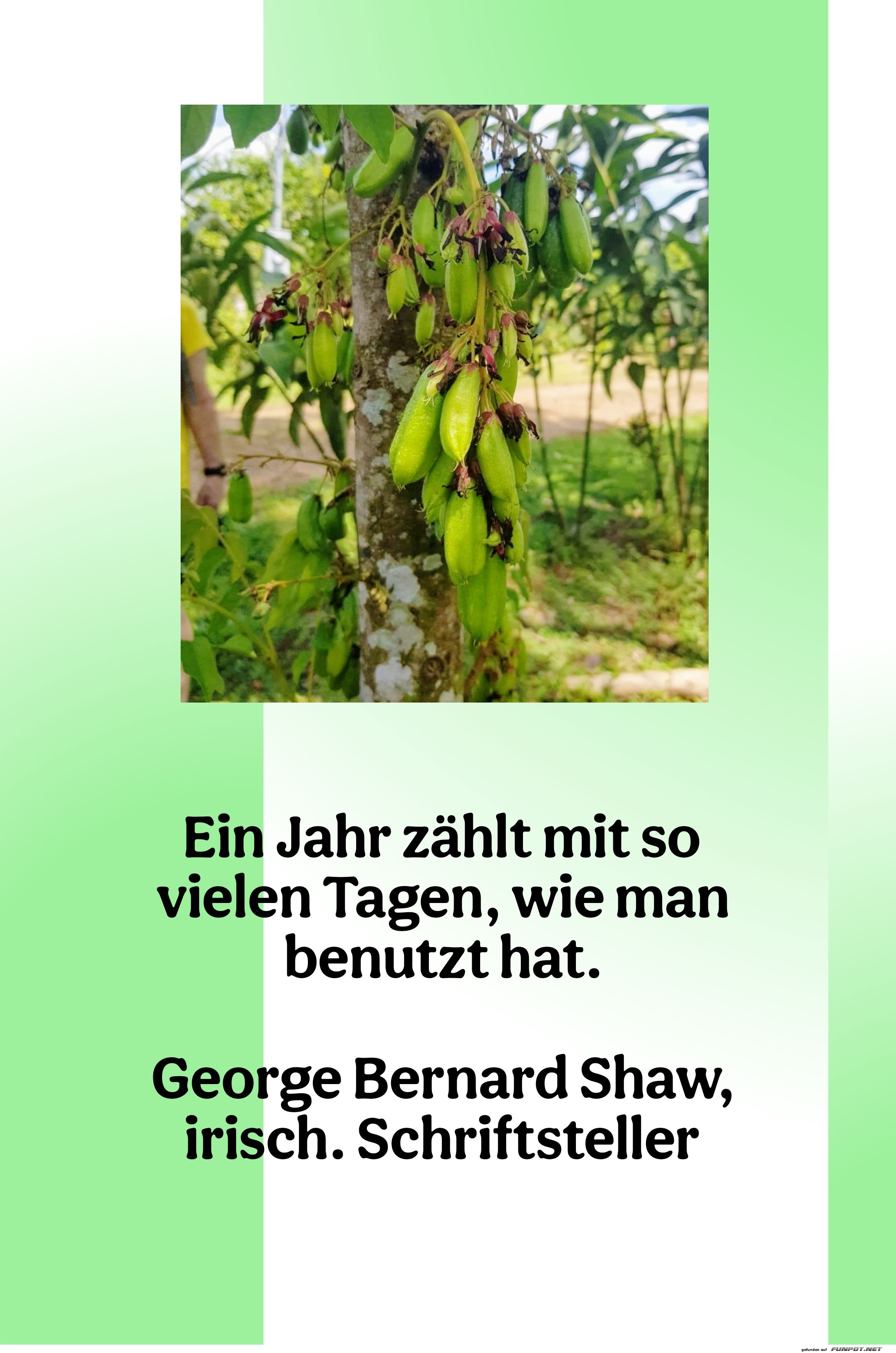 ein jahr zählt mit so vielen Tagen ein jahr zählt mit so vielen Tagen