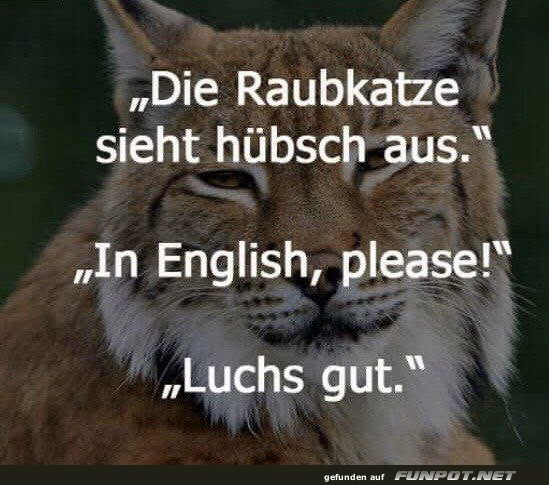 Wortspiel mit einer hübschen Raubkatze Wortspiel mit einer hübschen Raubkatze
