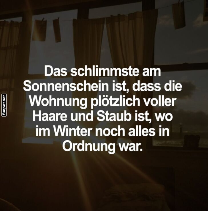 Sonnenschein bringt Staub und Haare ans Licht Sonnenschein bringt Staub und Haare ans Licht