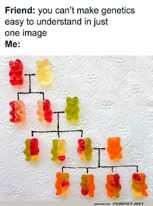 Genetik verständlich mit Gummibärchen Genetik verständlich mit Gummibärchen