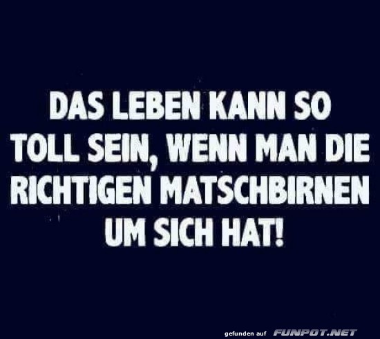 Das Leben mit den richtigen Matschbirnen Das Leben mit den richtigen Matschbirnen