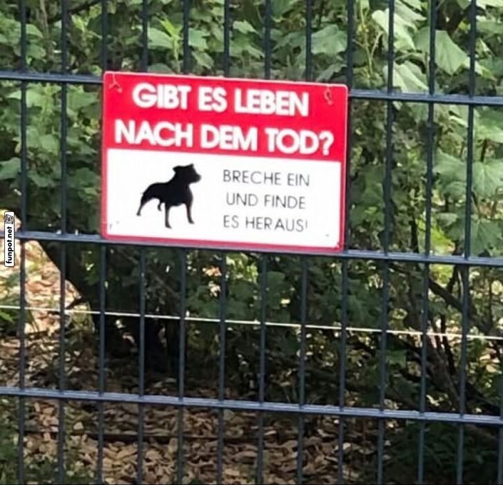 Warnschild am Zaun mit Frage und Hundesymbol Warnschild am Zaun mit Frage und Hundesymbol