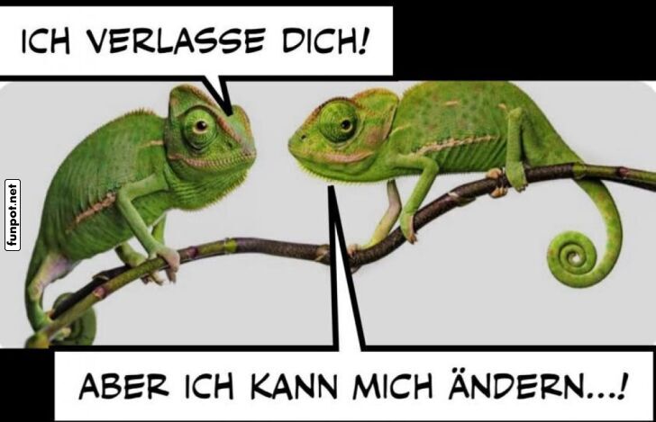 Chameleon-Komik: Trennung und Veränderung Chameleon-Komik: Trennung und Veränderung