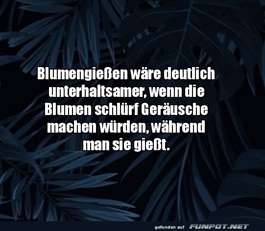Blumengießen Blumengießen