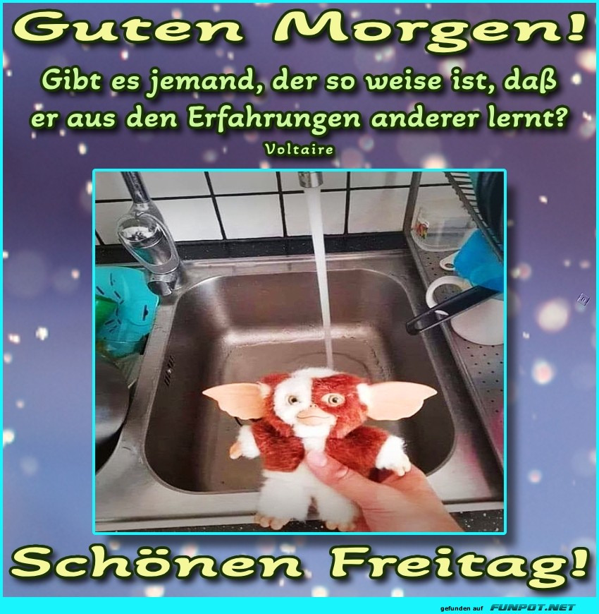 Guten Morgen mit weisem Zitat von Voltaire Guten Morgen mit weisem Zitat von Voltaire