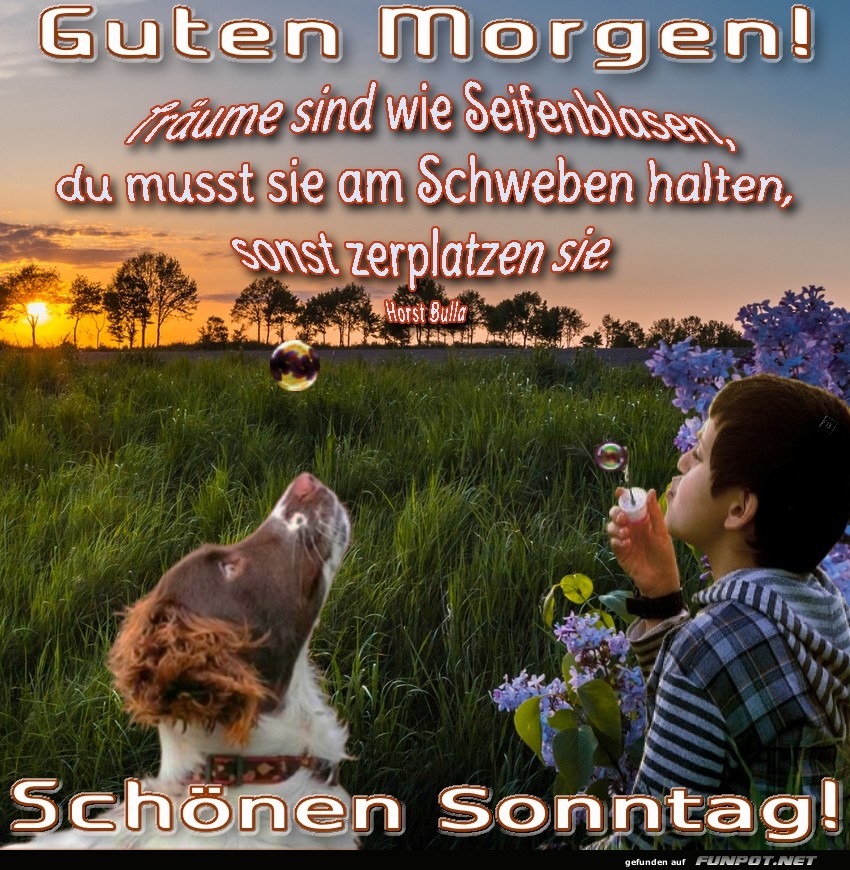 Träume sind wie Seifenblasen Träume sind wie Seifenblasen