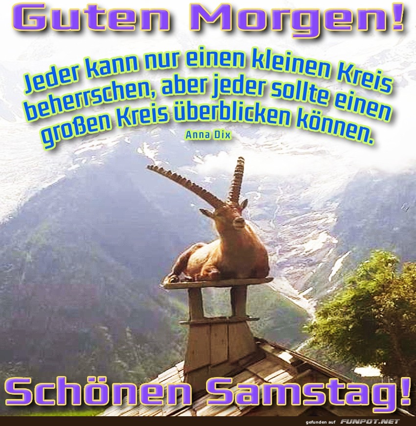 Guten Morgen mit weisem Spruch Guten Morgen mit weisem Spruch