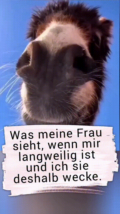 Was meine Frau sieht Was meine Frau sieht