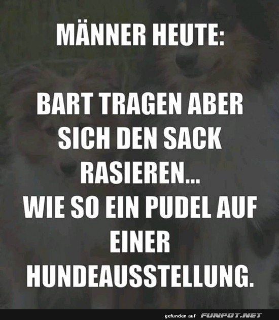 Männer heute und ihr Stil Männer heute und ihr Stil