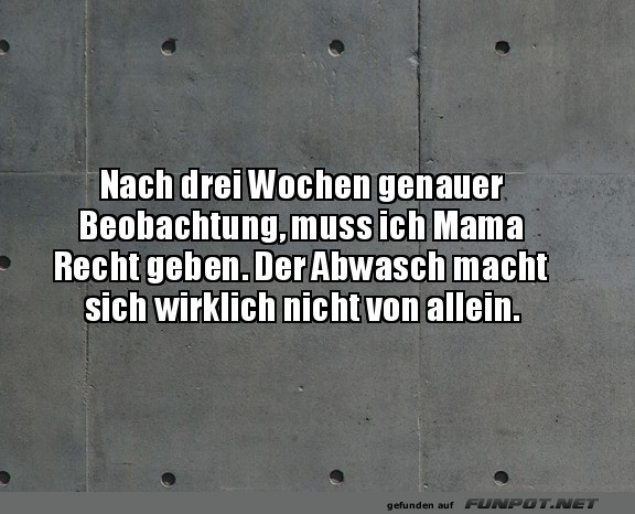 Lustiges Zitat über den Abwasch Lustiges Zitat über den Abwasch