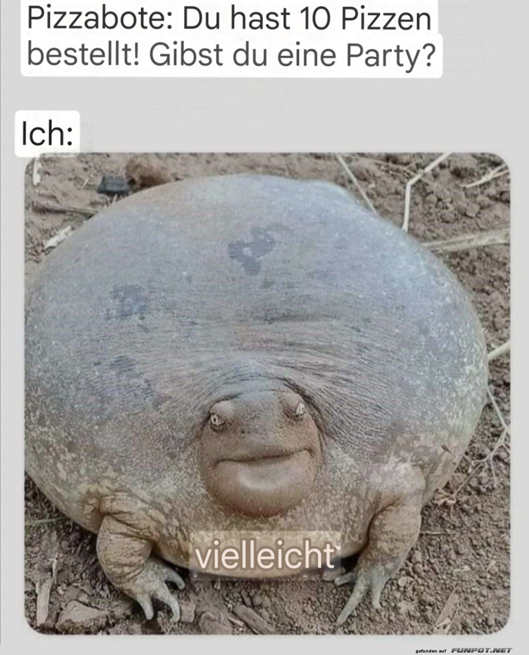 Lustiges Meme: Pizza und Partys Lustiges Meme: Pizza und Partys