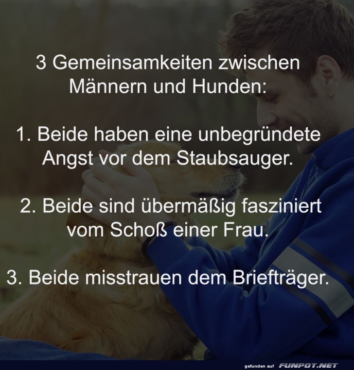 3 Gemeinsamkeiten zwischen Männern und Hunden 3 Gemeinsamkeiten zwischen Männern und Hunden