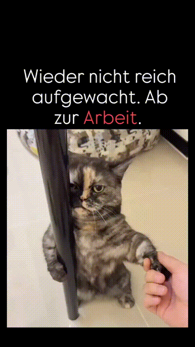 Wieder nicht reich aufgewacht