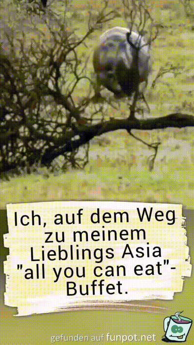 Auf dem Weg zum Buffet