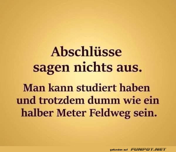 Abschlüsse erzählen nicht alles Abschlüsse erzählen nicht alles