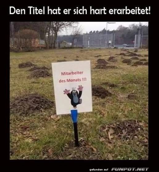 Mitarbeiter des Monats mit Auszeichnung Mitarbeiter des Monats mit Auszeichnung