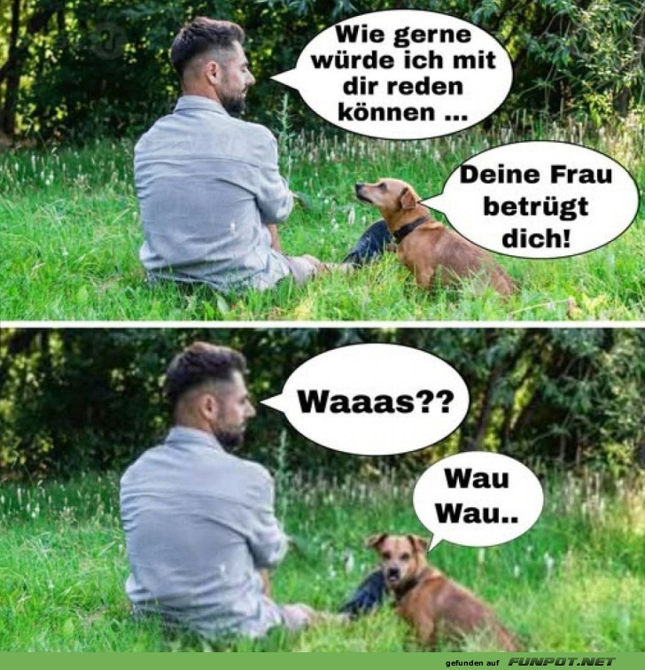 Der Hund enthüllt das Geheimnis Der Hund enthüllt das Geheimnis