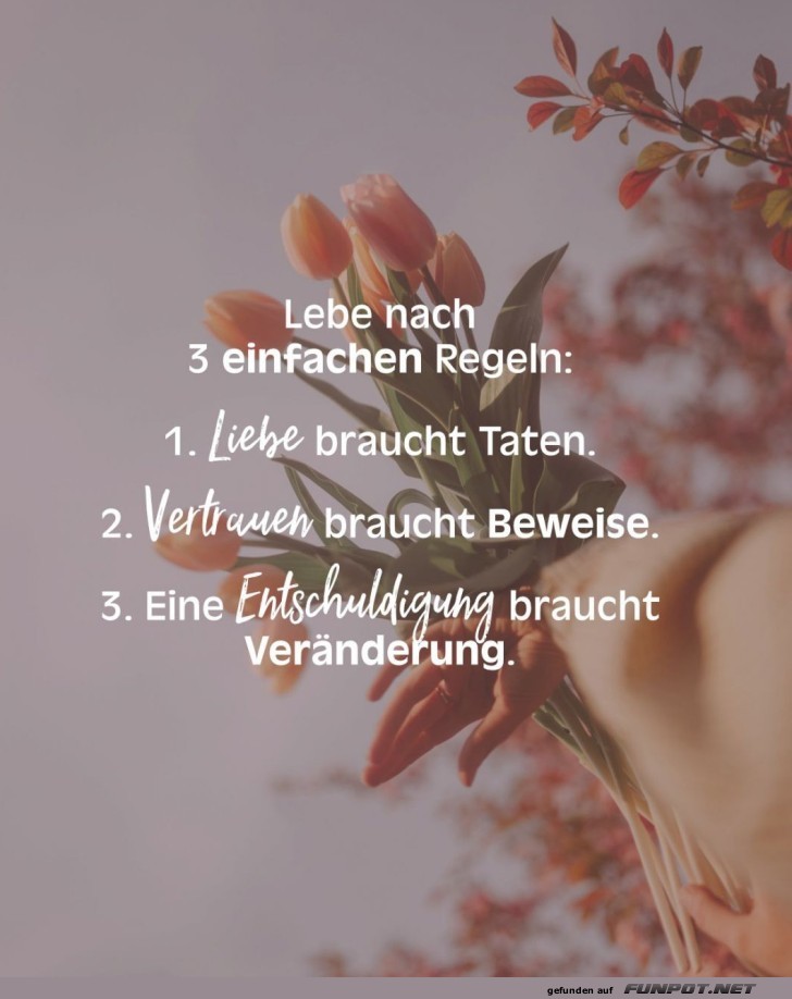 Drei einfache Lebensregeln Drei einfache Lebensregeln