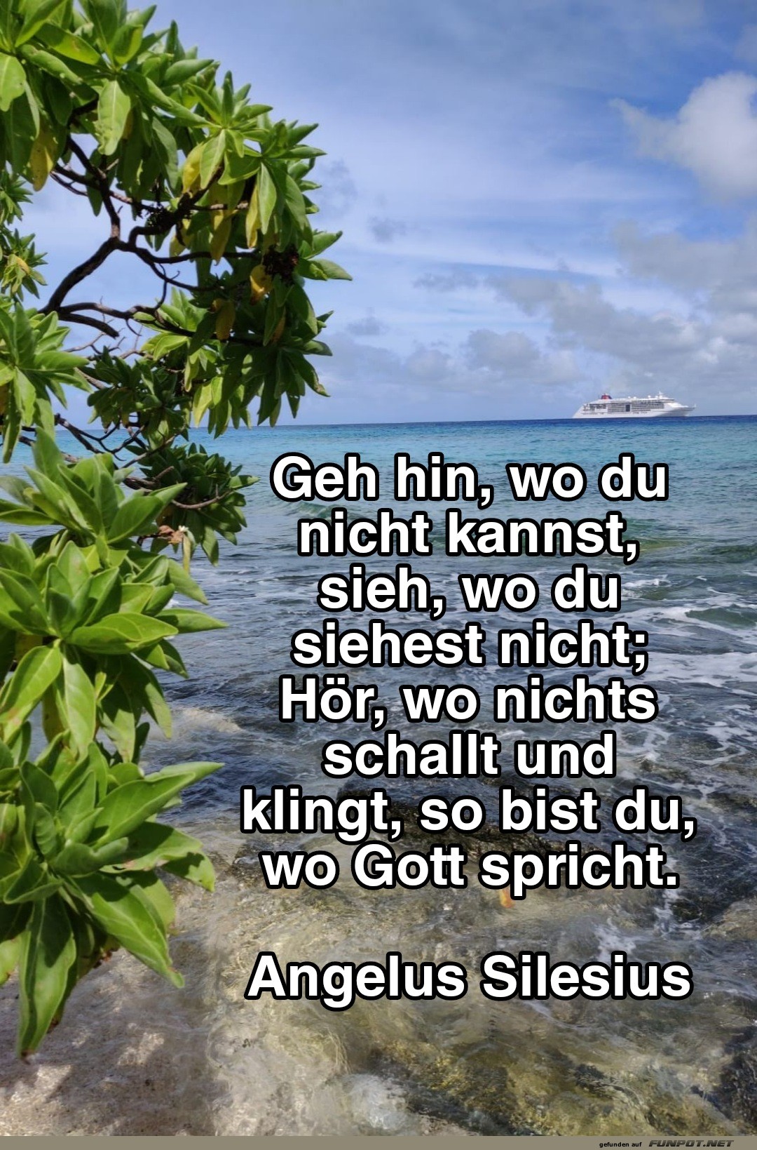 geh hin , wo du nicht kannst geh hin , wo du nicht kannst