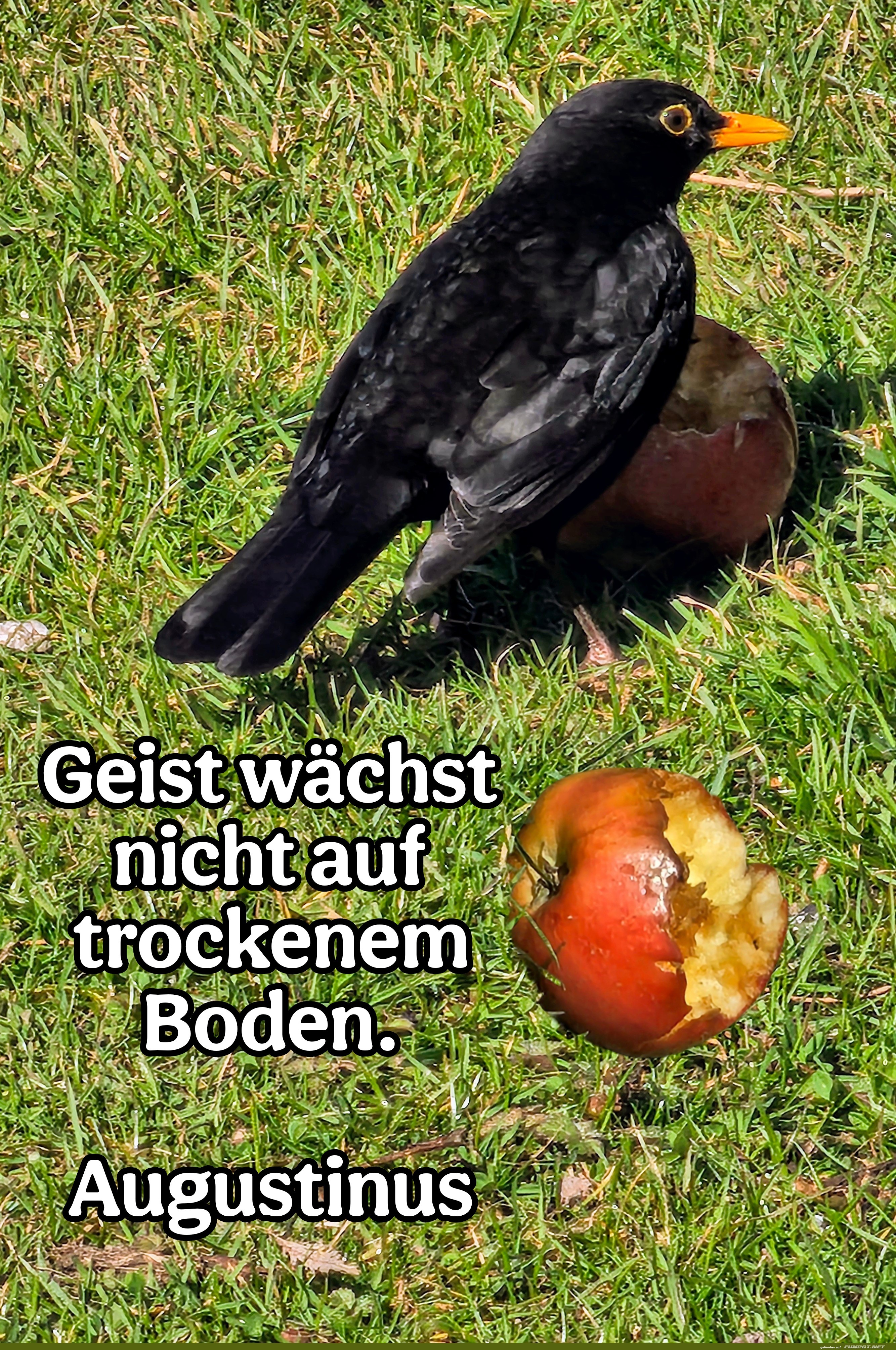 Geist wächst nicht auf trockenem Boden Geist wächst nicht auf trockenem Boden