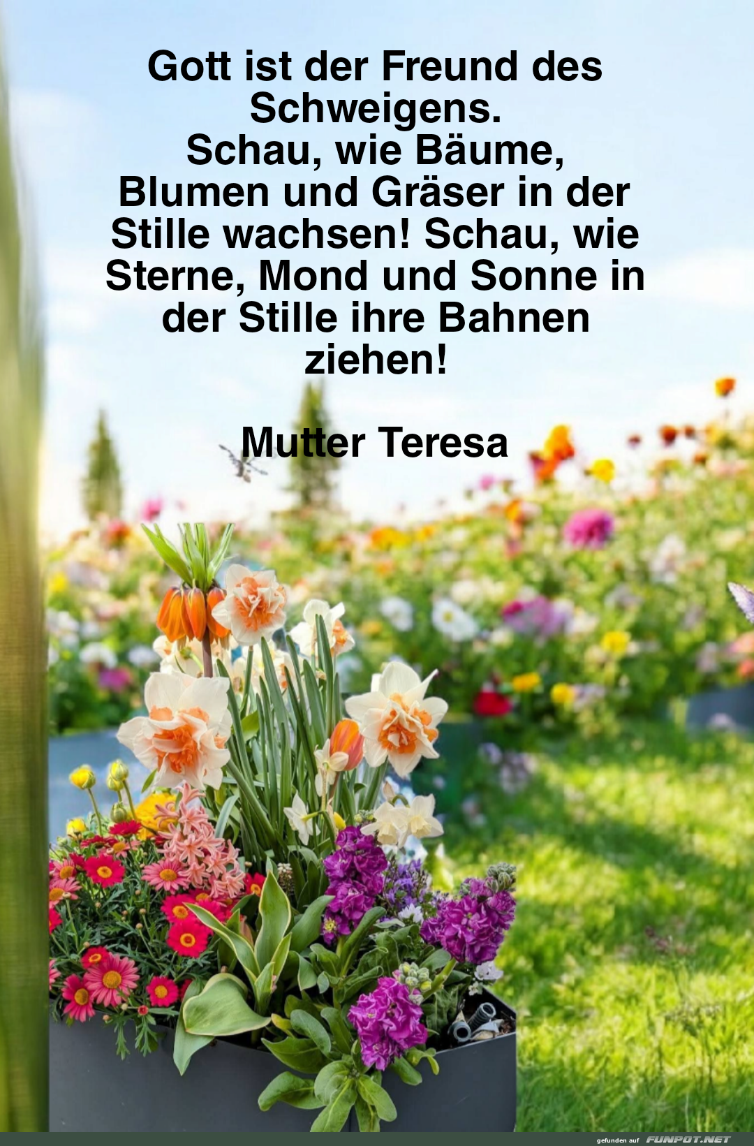 gott ist der freund