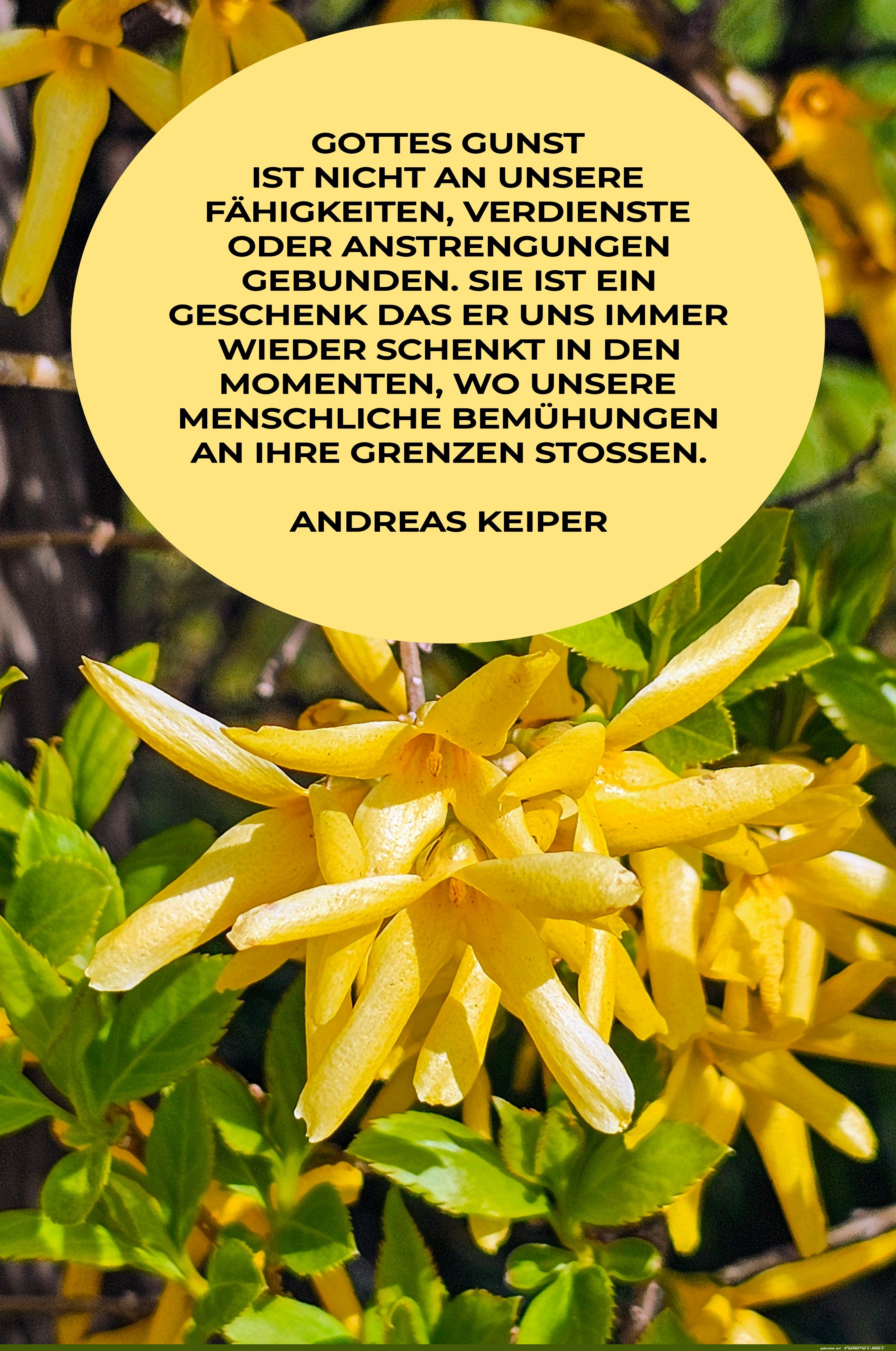 gottes gunst ist nicht .. gottes gunst ist nicht ..