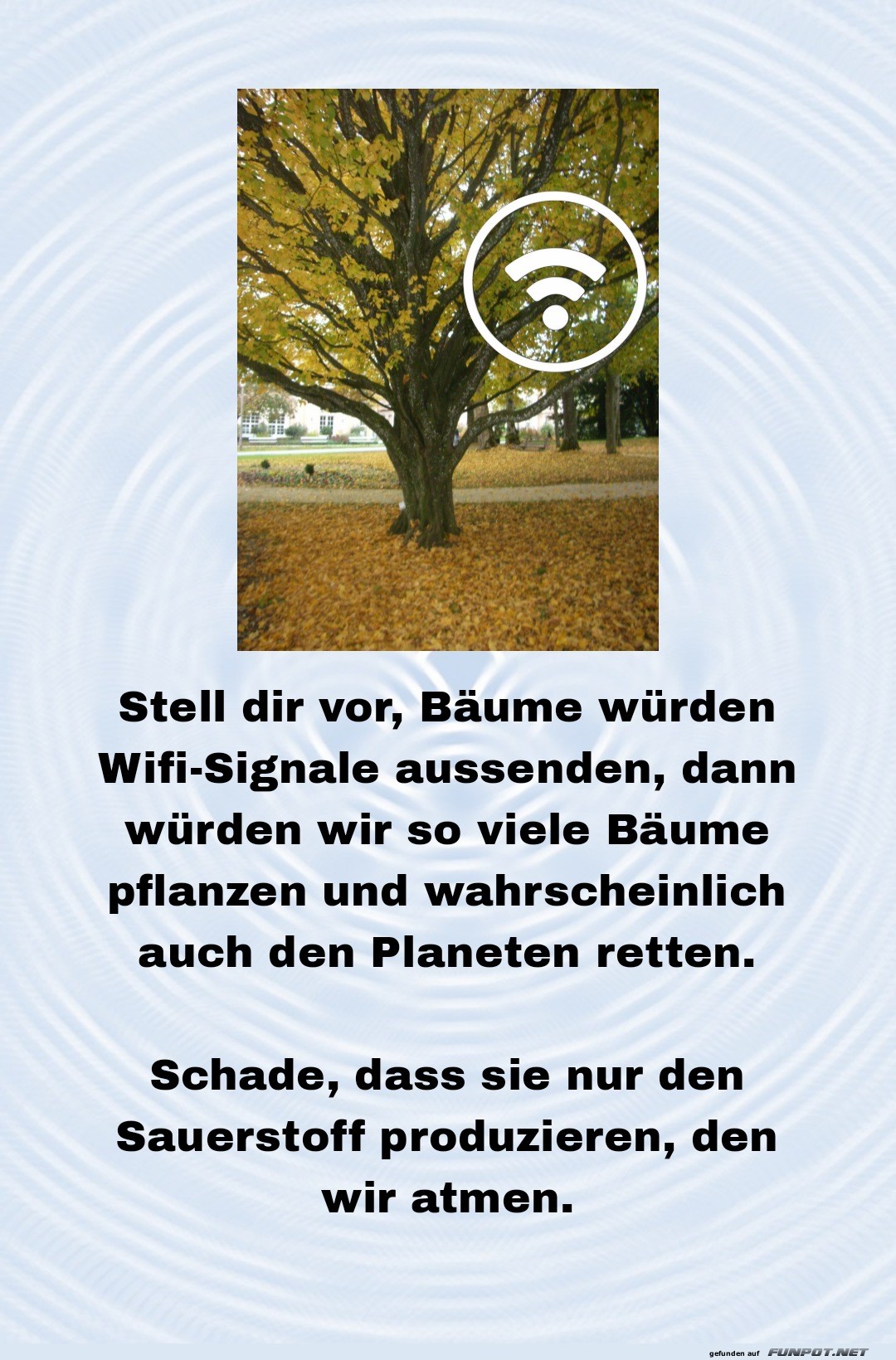 Bäume als hypothetische Wifi-Sender Bäume als hypothetische Wifi-Sender